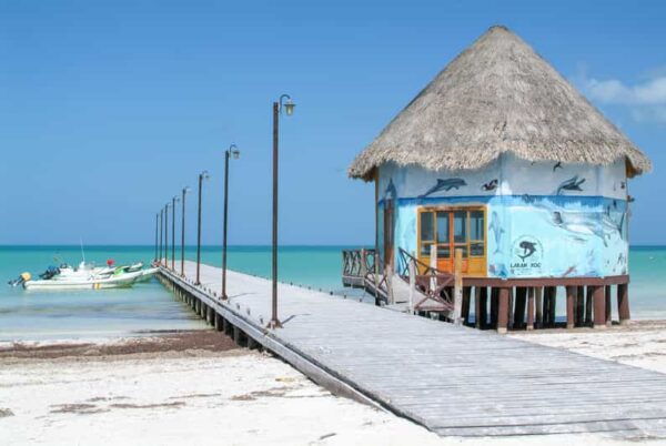Exclusive Full Day Nature Expedition to Holbox Island - Important Details