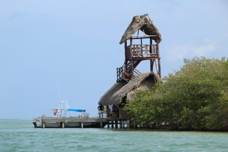 Exclusive Full Day Nature Expedition to Holbox Island - Good To Know
