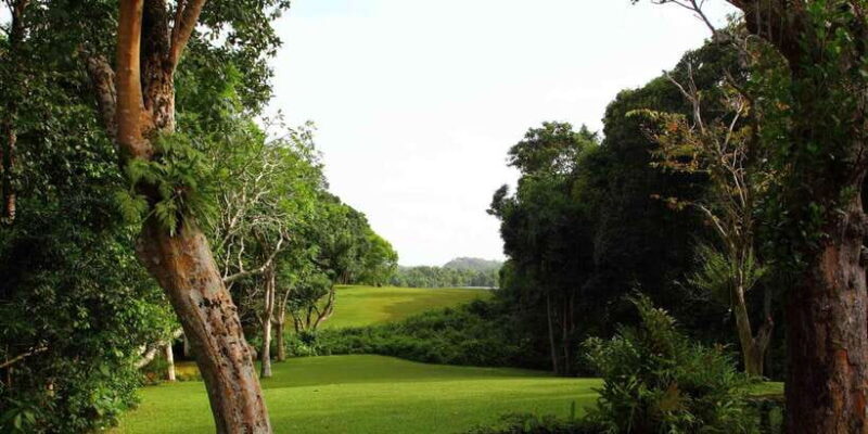 Exclusive : Geoffrey Bawa Country Estate Tour - Good To Know