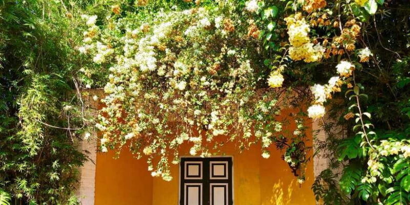 Exclusive : Geoffrey Bawa Country Estate Tour - Discovering Lunuganga: A Garden of Architectural Inspiration