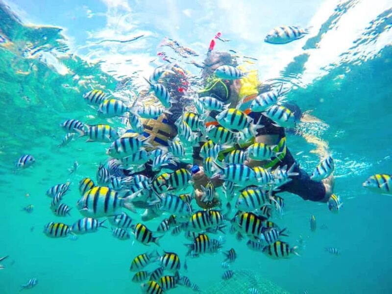 Exclusive Gili Nanggu, Sudak, and Kedis Tour Featuring GoPro - Deep Dive into the Experience