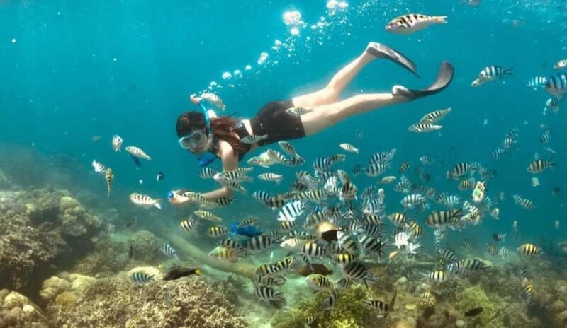 Exclusive Gili Nanggu, Sudak, and Kedis Tour Featuring GoPro - Who Is This Tour Best For?
