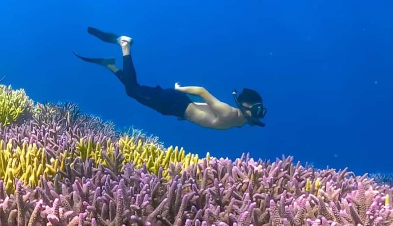 Exclusive Gili Nanggu, Sudak, and Kedis Tour Featuring GoPro - Who Is This Tour Best For?