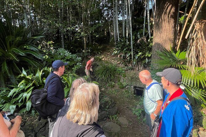 Exclusive Guided Tour: Fukue Castle, Japans Last Sea Castle - The Experience of Small Groups