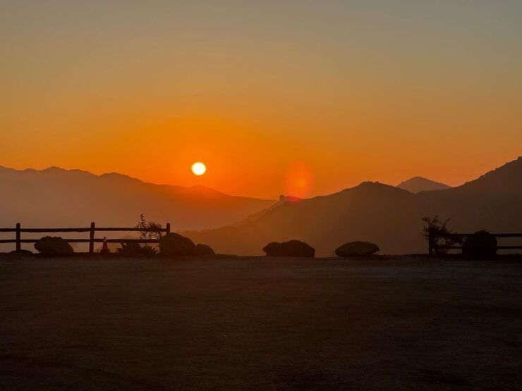 Exclusive Guided Wine Tasting and Vineyard Tour in Malibu - Pickup Service