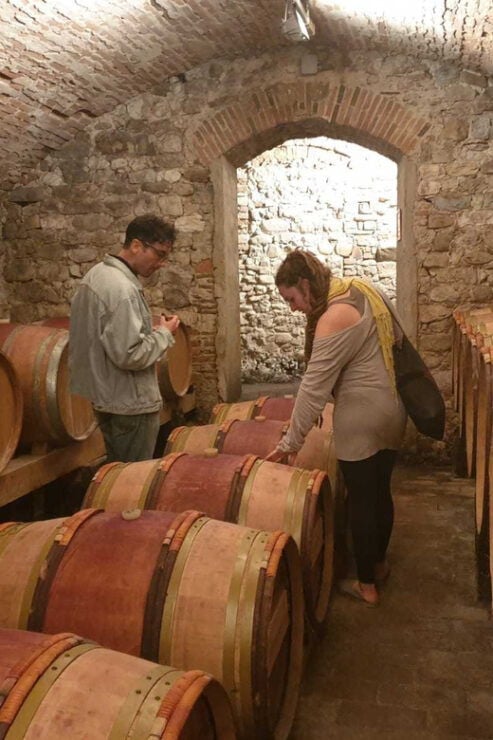 Exclusive Half-Day Chianti Wine Tour With Lunch at Farm - Itinerary Details