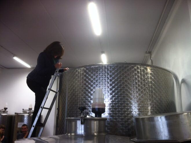 Exclusive Half-Day Chianti Wine Tour With Lunch at Farm - Customer Feedback