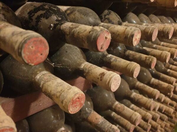 Exclusive Half-Day Chianti Wine Tour With Lunch at Farm - Tips for a Great Experience