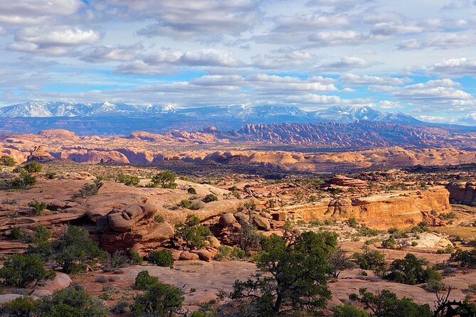 Exclusive Half Day Dead Horse Point Guided Mountain Biking Tour - Tour Inclusions