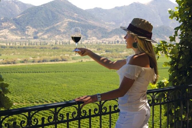 Exclusive Half Day Tour of Winerie Concha Y Toro From Santiago - Good To Know