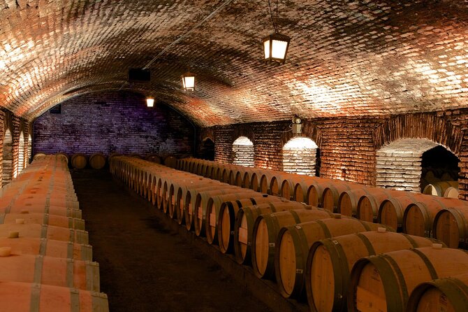 Exclusive Half Day Tour of Winerie Concha Y Toro From Santiago - Reviews