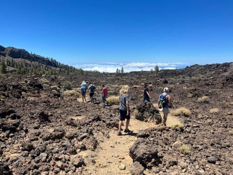 Exclusive hike on Mount Teide with a certified guide - Good To Know