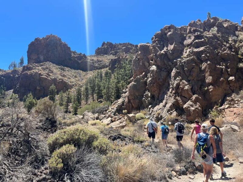 Exclusive hike on Mount Teide with a certified guide - The Experience: A Deep Dive into the Teide Hike
