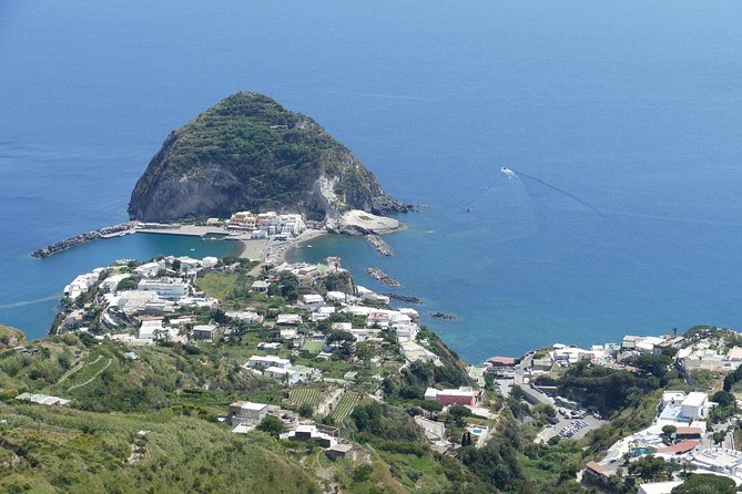 Exclusive Ischia Day Trip & Food Tasting With Top Guide and Driver From Naples - Booking and Pricing