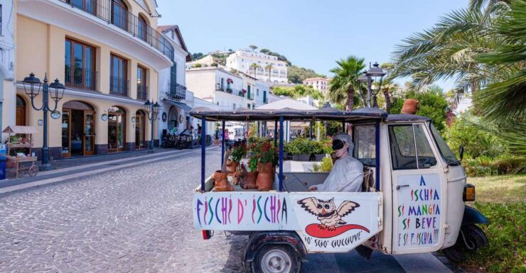Exclusive Ischia Tour From Sorrento With Local Guide - Full Description
