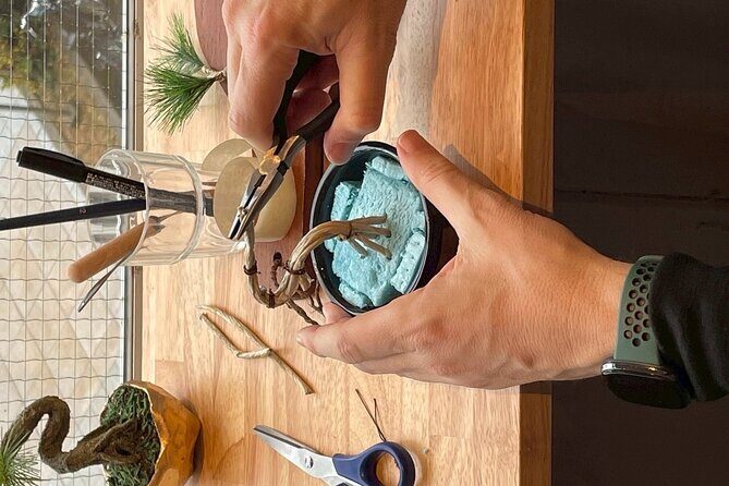 Exclusive Kanazawa Craft Bonsai Experience with Black Tile Pot - Good To Know