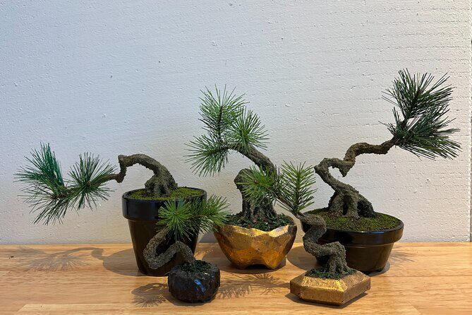 Exclusive Kanazawa Craft Bonsai Experience with Black Tile Pot - FAQs