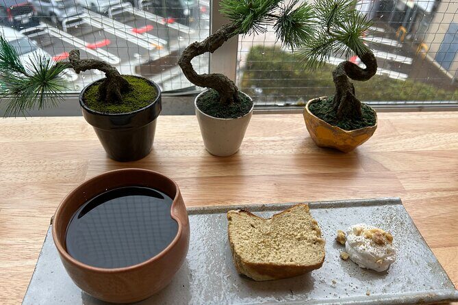 Exclusive Kanazawa Craft Bonsai Experience with Black Tile Pot - Who Would Love This Experience?