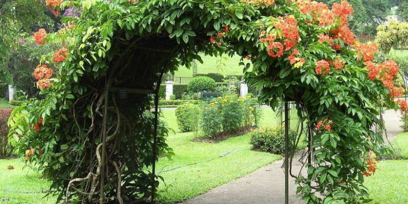 Exclusive : Kandy City Tour by car - FAQ