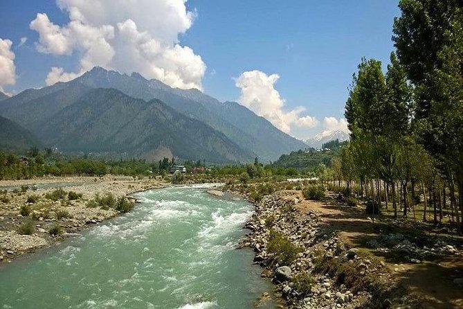 Exclusive Kashmir Tour Package - Reviews and Ratings