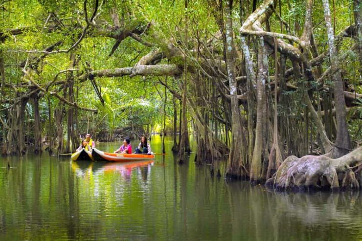 Exclusive Khao Lak Highlights - Private Tour - Customizable Activity Options