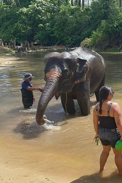 Exclusive Khao Lak Highlights - Private Tour - Questions You May Have
