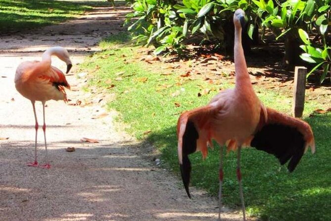 Exclusive Liberty Tour With Aperitif Included - Frequently Asked Questions