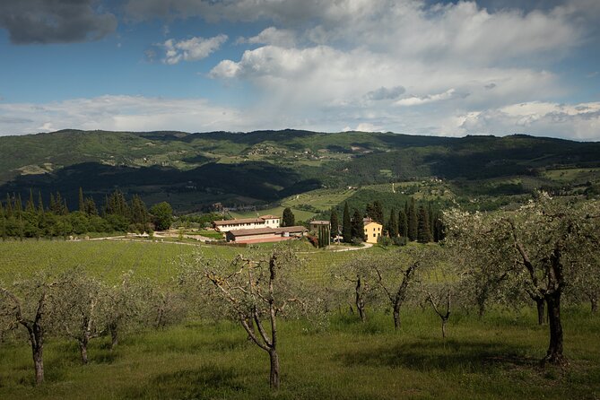 Exclusive Lunch Tour and Wine Tasting at a Chianti Classic Winery - Common Questions