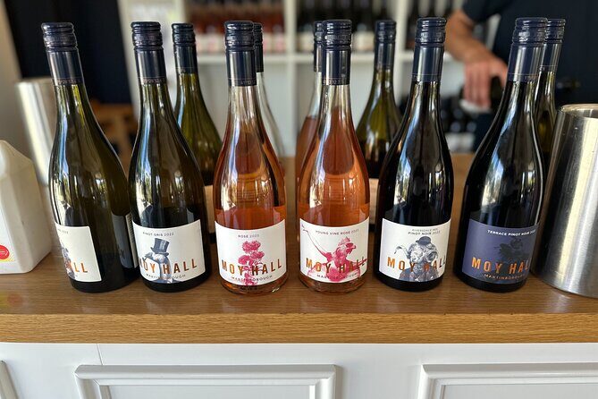 Exclusive Martinborough Wine Tour - The Journey from Wellington to Martinborough: What to Expect