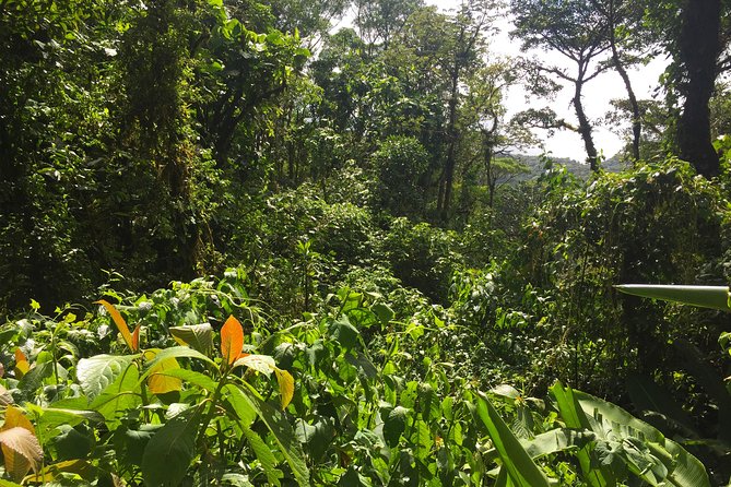 Exclusive Monteverde Cloud Forest Adventure - Booking Policies