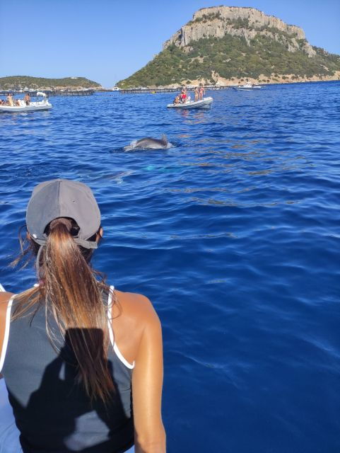 Exclusive Motor Boat Dolphins Watch - Tour Details