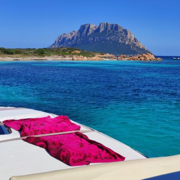 Exclusive Motor Boat Dolphins Watch - Directions to Porto San Paolo