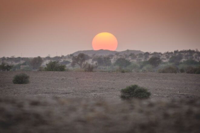 Exclusive Musical Evening in the Desert Luxury Camp - Highlights