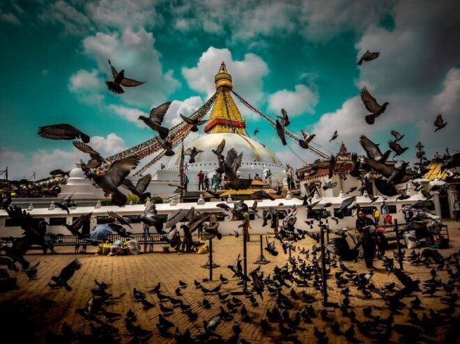 Exclusive Nepal Tour - 7 Nights and 8 Days - Experience and Activities