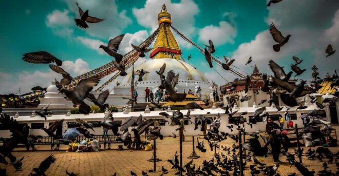 Exclusive Nepal Tour - 7 Nights and 8 Days - Inclusions