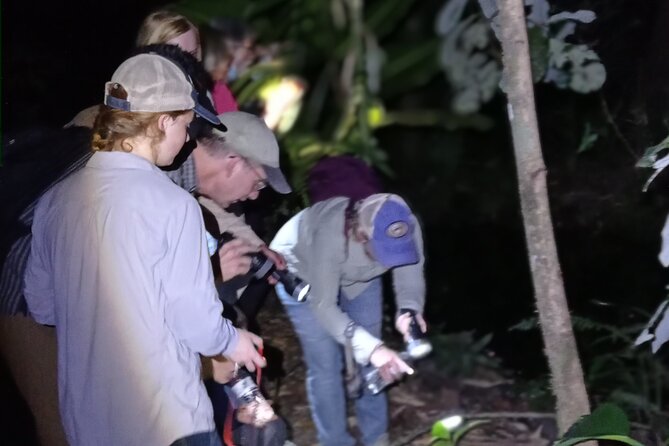 Exclusive Night Walk in La Fortuna and Natural Frog Garden . - Experience Details
