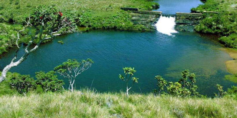 Exclusive Nuawara Eliya: Horton Plains and Tea Factory Tour - Good To Know