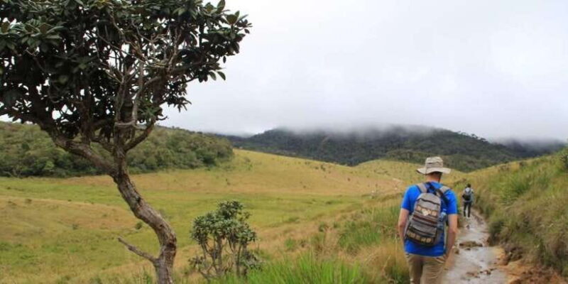 Exclusive Nuawara Eliya: Horton Plains and Tea Factory Tour - Practical Details & Tips