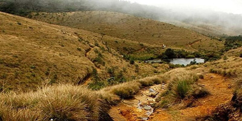 Exclusive Nuawara Eliya: Horton Plains and Tea Factory Tour - Final Thoughts