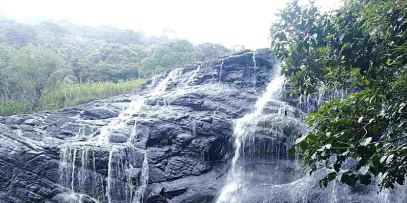 Exclusive Nuawara Eliya: Horton Plains and Tea Factory Tour - Who This Tour Is Best For