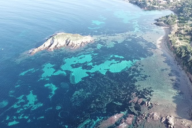 Exclusive Paddle Board Around Porquerolles and Giens - Transfer by Boat. - Paddle Boarding Experience