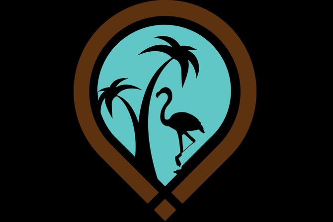 Exclusive Paddle Board Around Porquerolles and Giens - Transfer by Boat. - Safety and Accessibility