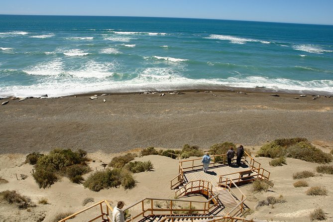Exclusive Peninsula Valdes Nature & Wildlife With Entry Fee and Box Lunch - Tour Inclusions and Amenities