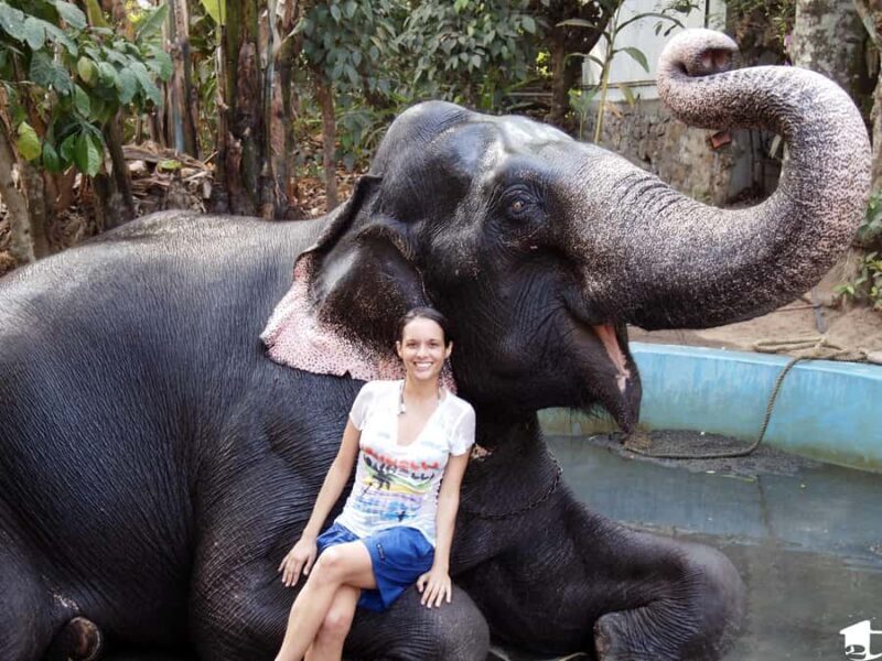 Exclusive Periyar Wildlife with Elephant Bath Tour (03 Days) - Introduction