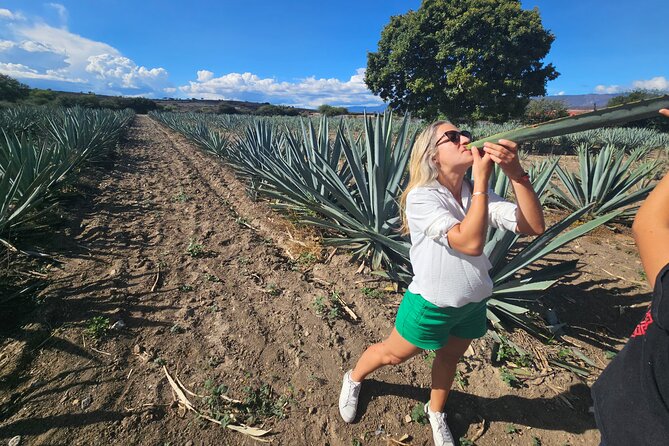 Exclusive: Premium Mezcal, Hierve El Agua, Textiles & Lunch - Directions to the Tour Locations
