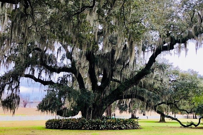 Exclusive Private Access Evergreen Plantation & City Tour - Tour Highlights