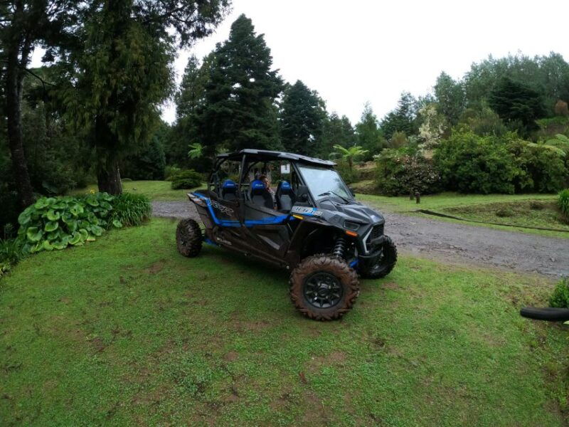 Exclusive Private Buggy Adventure: Forest and Mountains - Good To Know