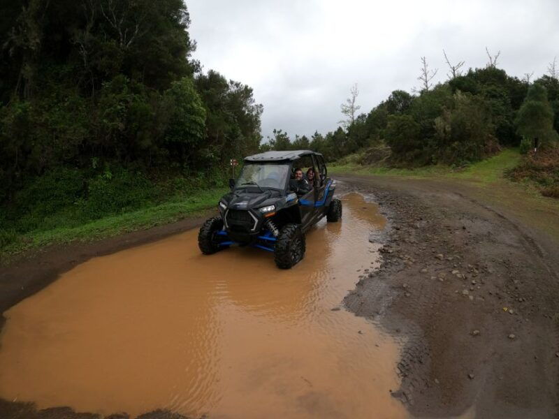 Exclusive Private Buggy Adventure: Forest and Mountains - Is This Adventure Worth It?