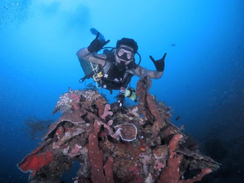 Exclusive private dive guide and underwater photography - Who Will Love This Tour?