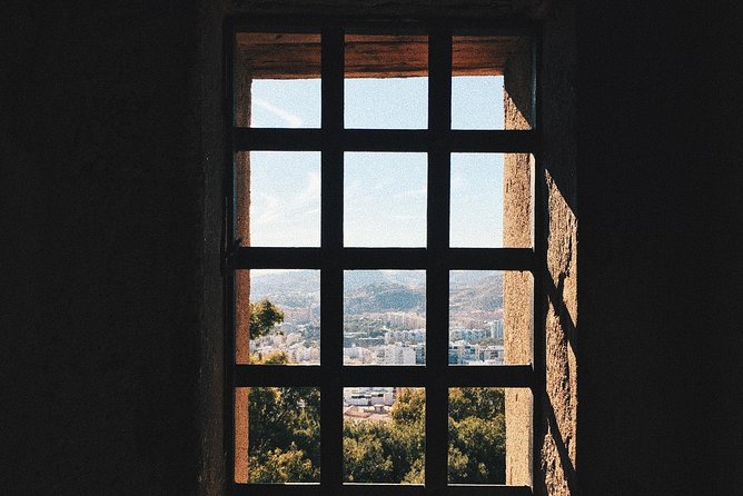 Exclusive Private Guided Tour Through the History of Malaga With a Local - Pricing and Booking Details